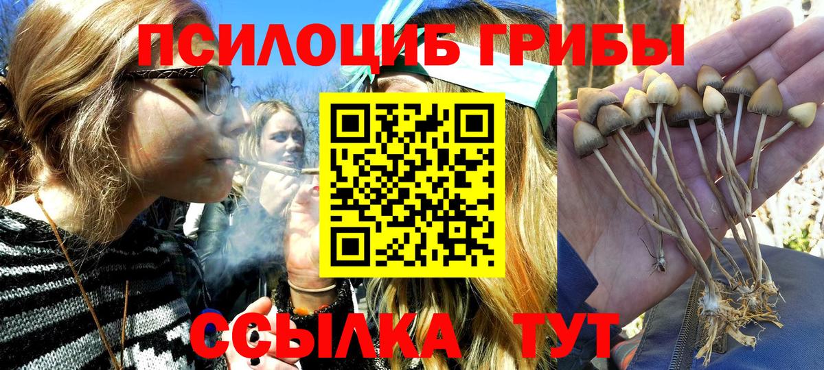 Галлюциногенные грибы Psilocybe  Вход с VPN  Благодарный  дарнет шоп  Галлюциногенные грибы мухоморы 